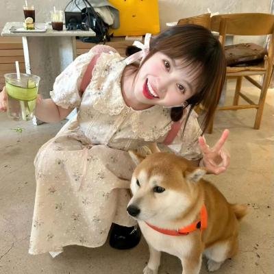 神探奇点 动态漫画